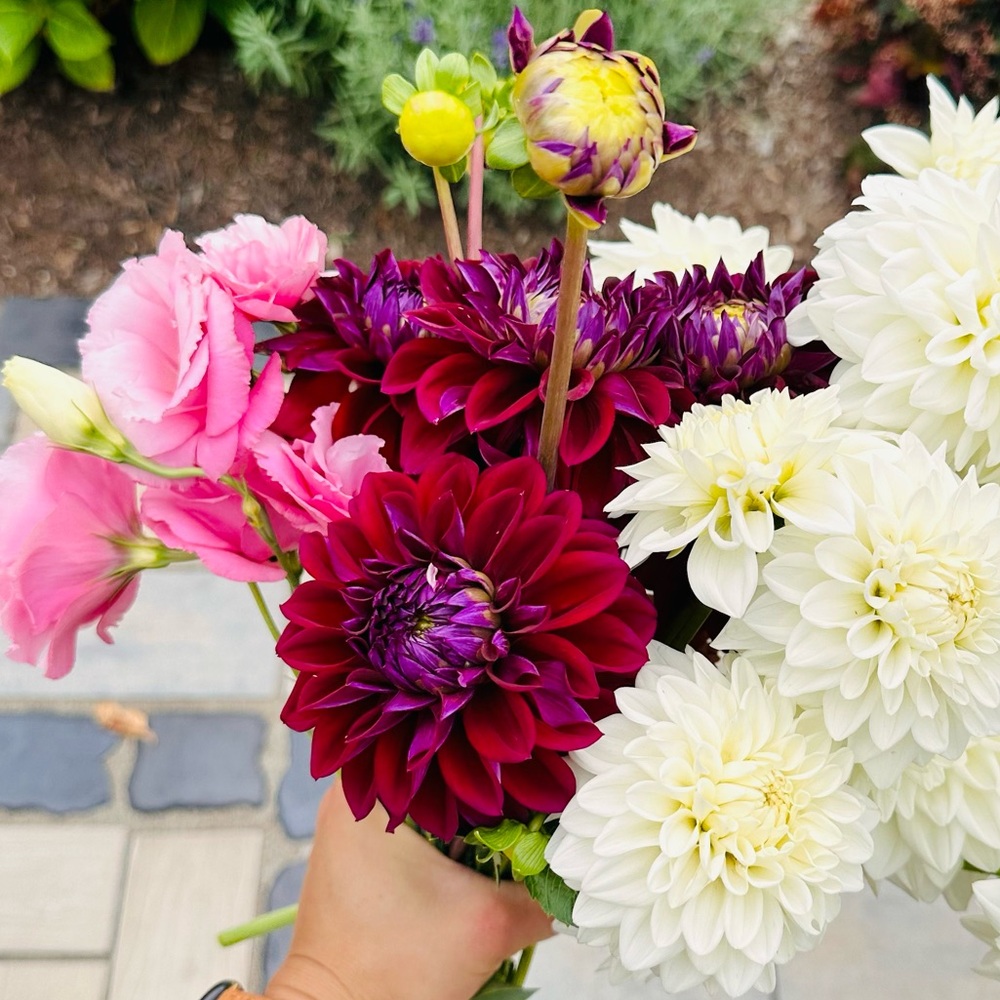 Meet your Posher, Laura